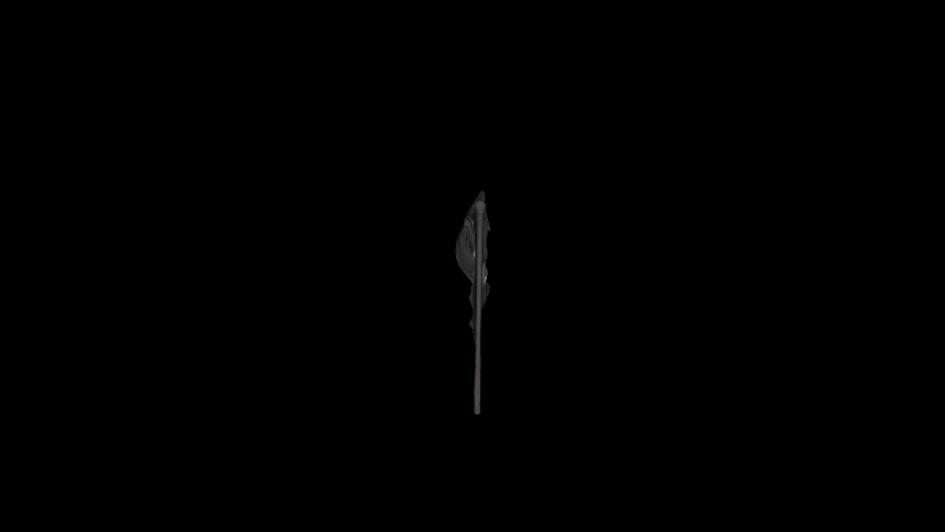 Stuff #80