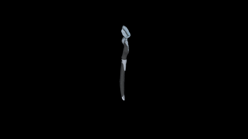 Stuff #45
