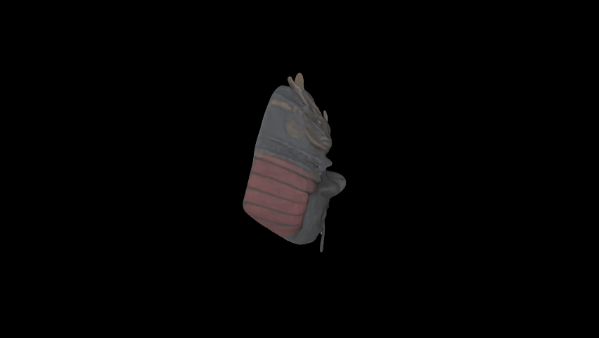 Stuff #107