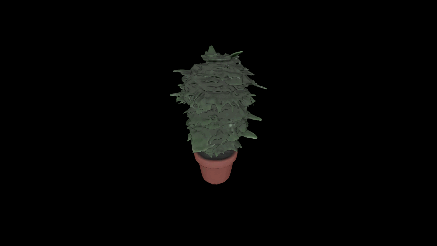 Stuff #53